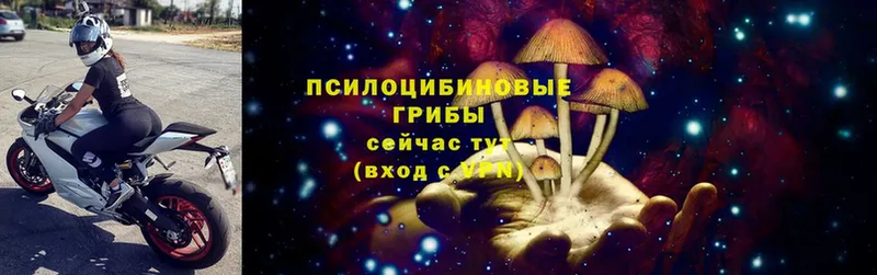 Псилоцибиновые грибы MAGIC MUSHROOMS  купить наркотики сайты  Дедовск 